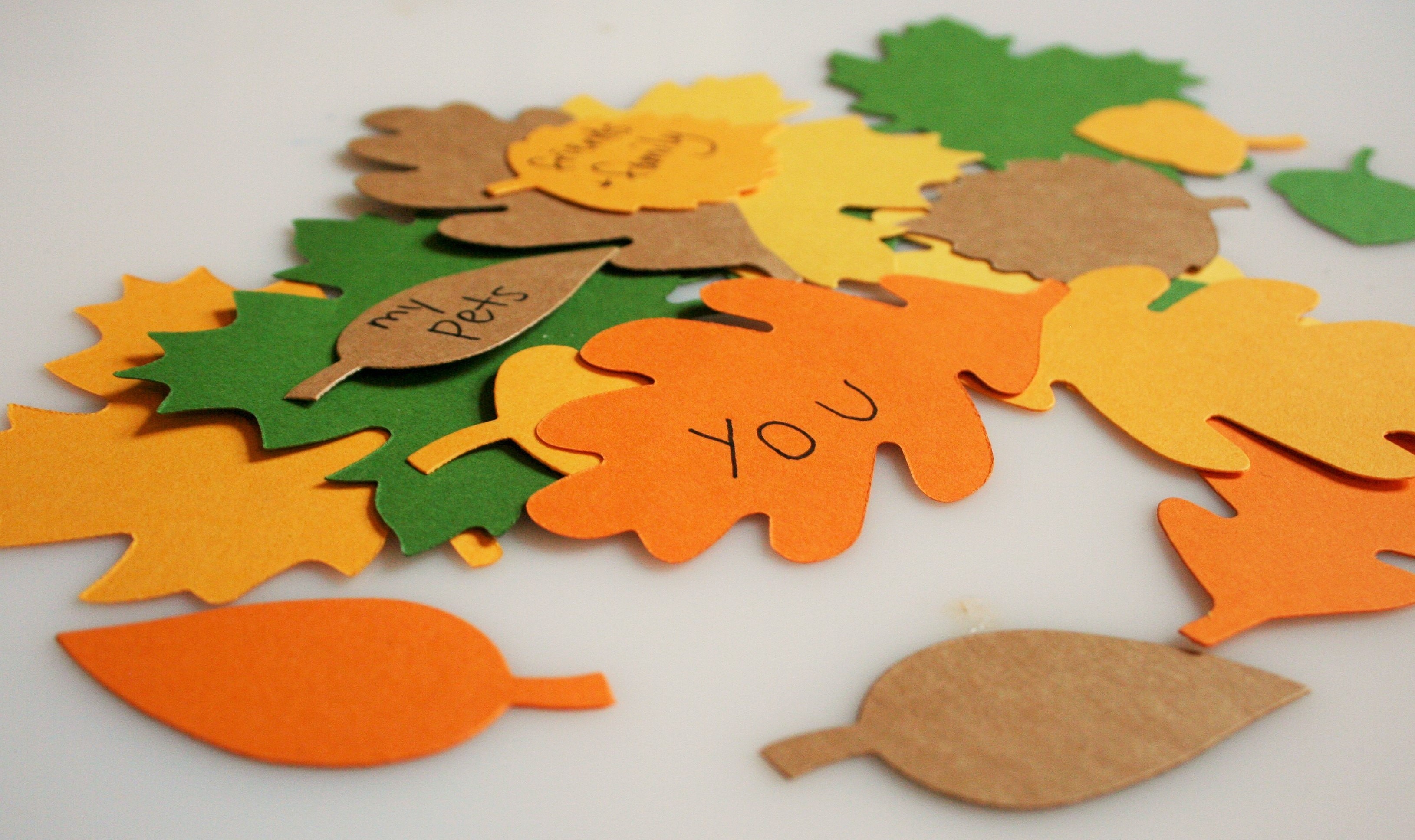 The Thanksgiving Jar: Collecting Gratitude