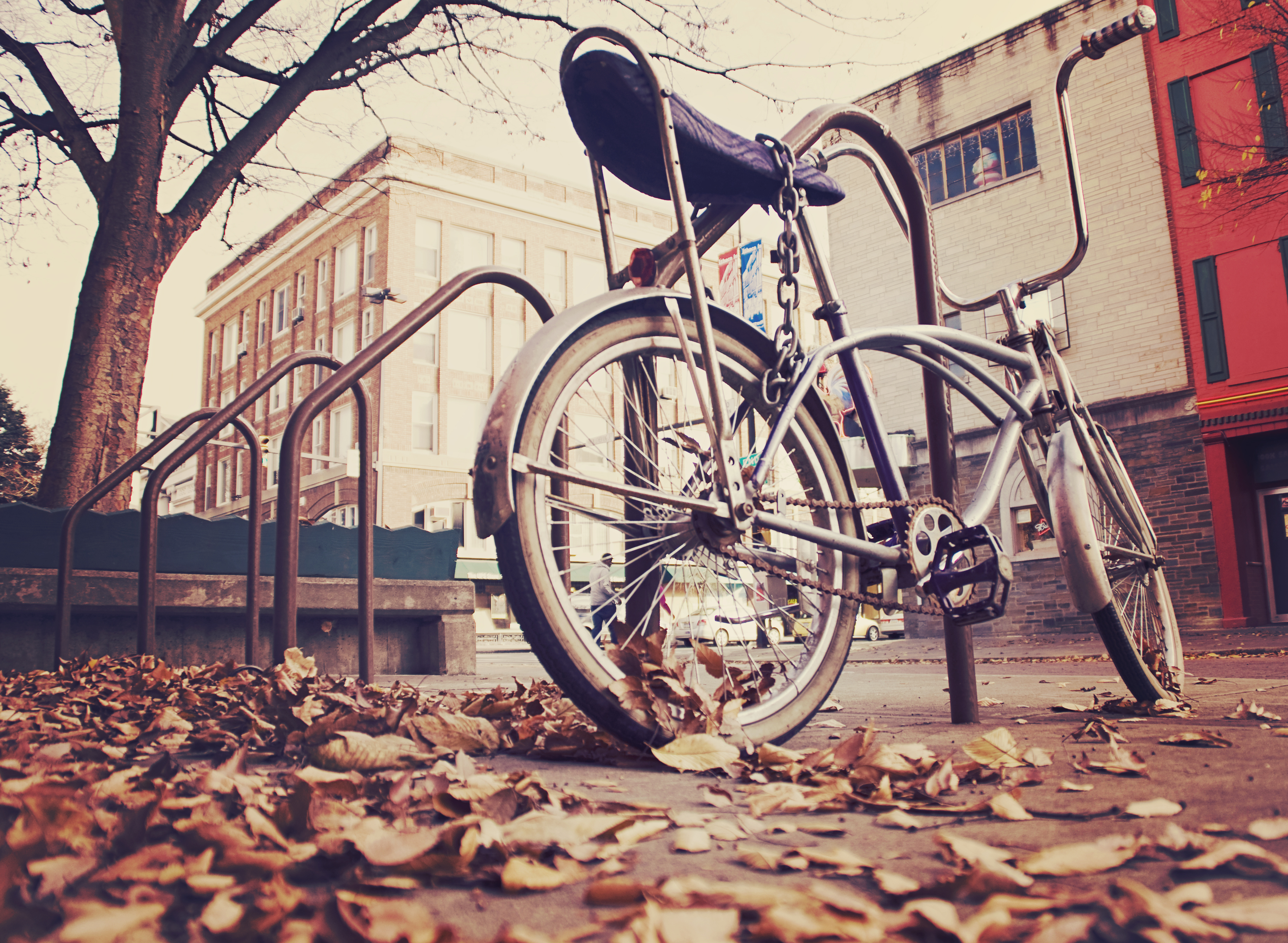 To Whoever Took our Bike Part II: Unexpected Happy Endings